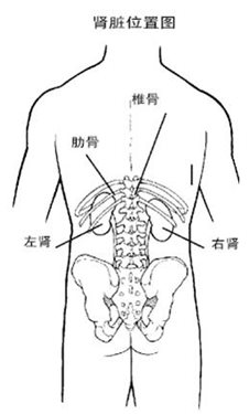 &#108;&#101;&#121;&#117;&#46;&#20048;&#40060;&#40;&#38598;&#22242;&#41;&#26234;&#33021;&#31185;&#25216;&#32929;&#20221;&#26377;&#38480;&#20844;&#21496;&#32593;&#31449;